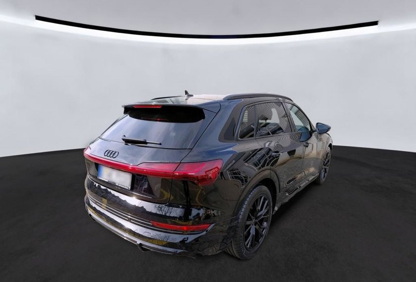 Audi e-tron e-tron 50 QU.S-Line Kamera/ACC/Navi/21/Leder
