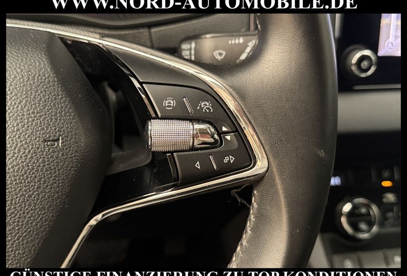 Skoda Karoq Karoq Business 2.0 TDI DSG Virt.Cockpit/Kamera/