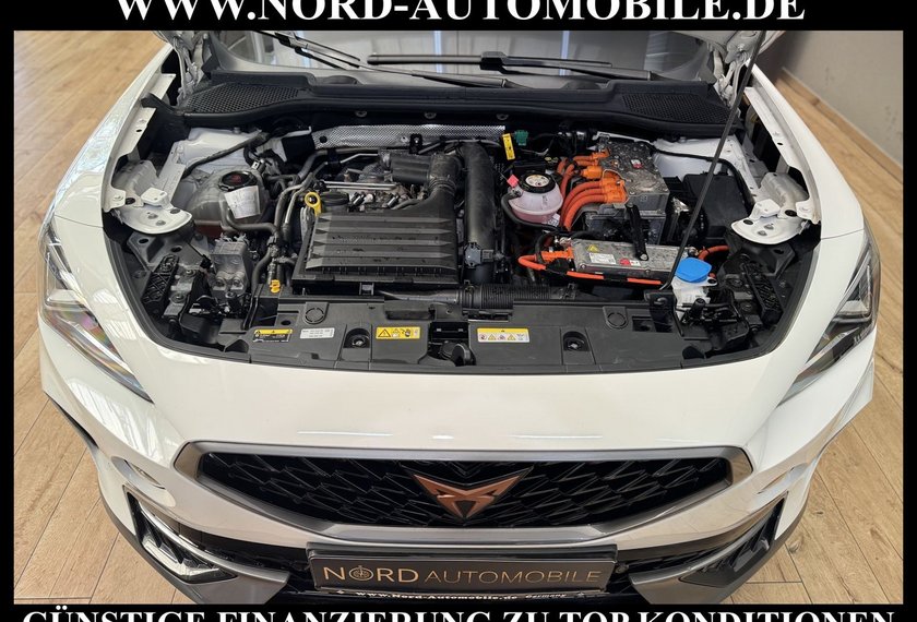 Cupra Formentor Formentor VZ 1.4 TSI e-HYBRID DSG AHK/Kamera/19