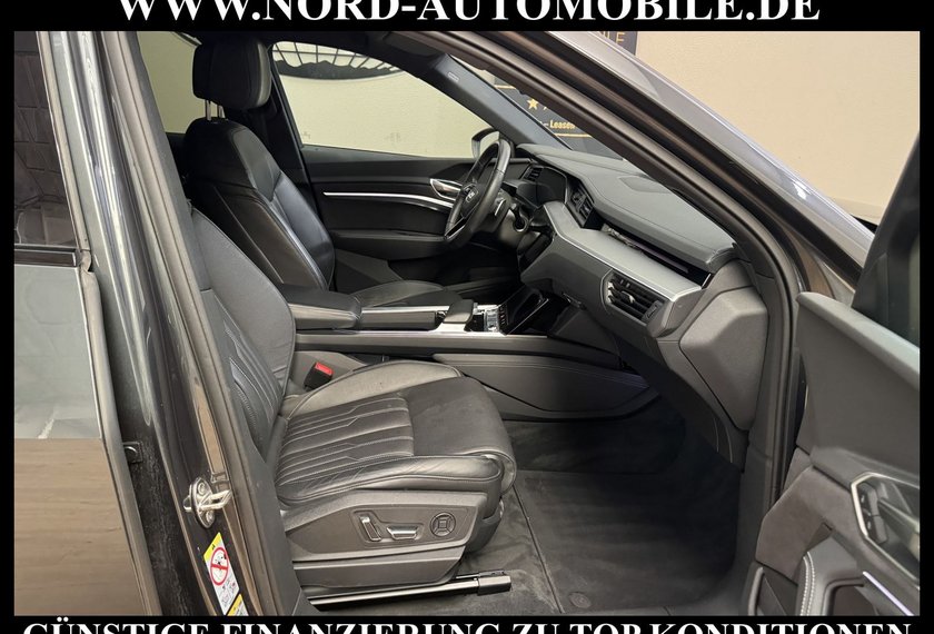 Audi e-tron e-tron 50 QU.S-Line Teilleder/Kamera/Navi/21