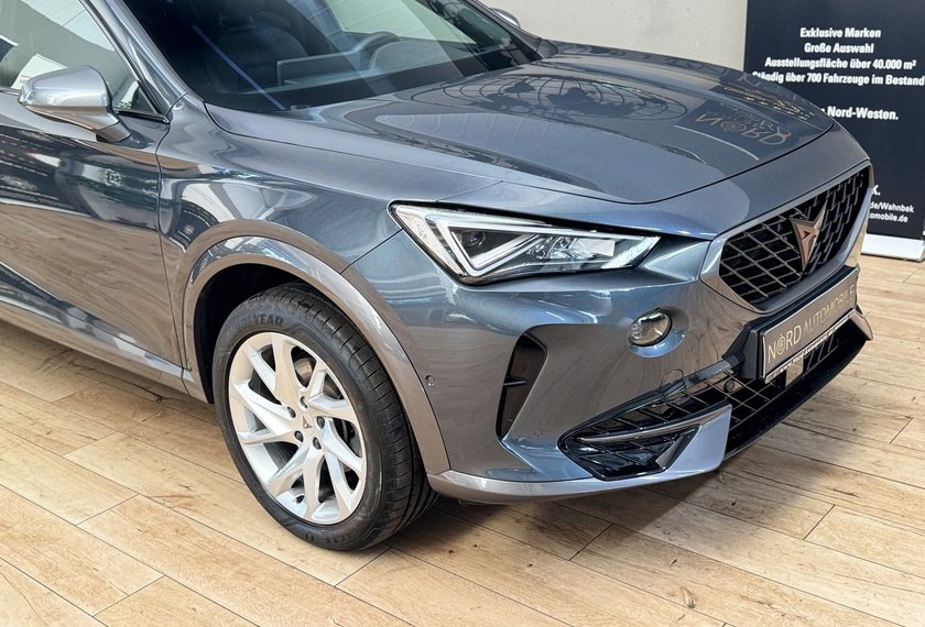 Cupra Formentor Formentor 2.0 TDI 4Drive Kamera/ACC/Side&amp;Lane/