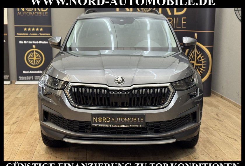 Skoda Kodiaq Kodiaq Ambition 2.0 TDI DSG Virt.Cockpit/Kamera/