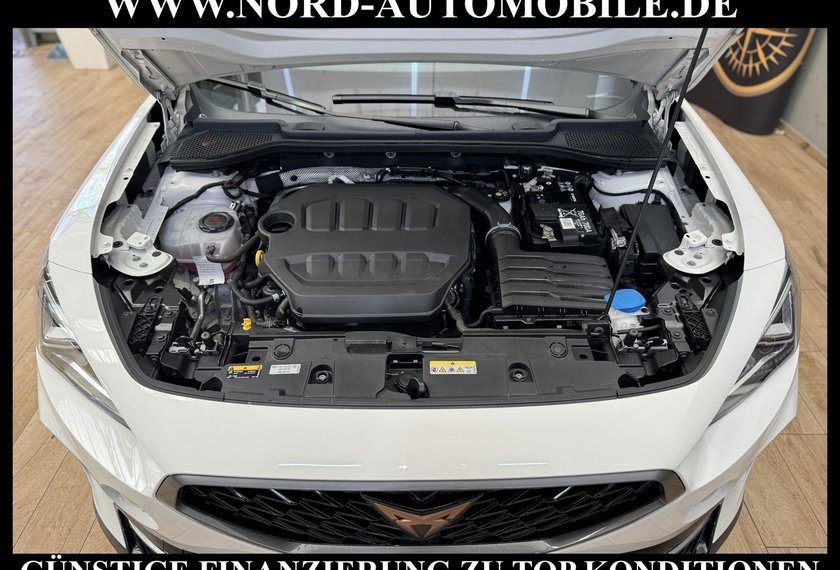 Cupra Formentor Formentor 2.0 TSI DSG Kamera/Navi/LED/18/ACC