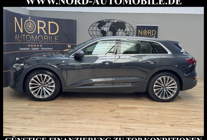 Audi e-tron e-tron 50 QU.Leder/Kamera/AHK/Panorama/21