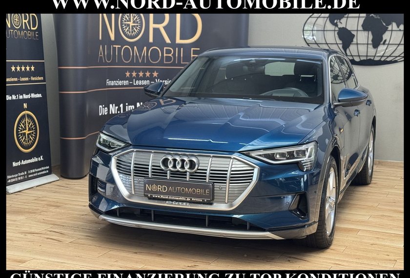 Audi e-tron e-tron 50 QU.S-Line Teilleder/Kamera/Head-Up/20
