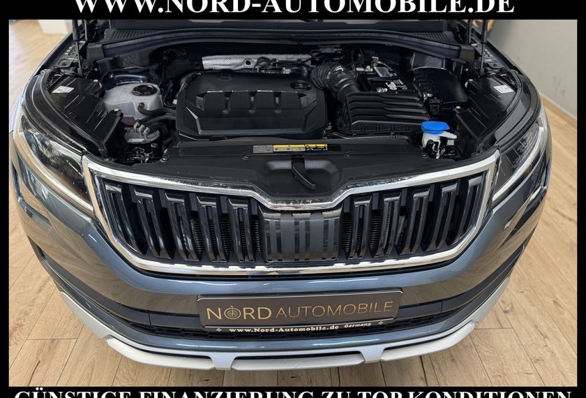 Skoda Kodiaq Kodiaq 2.0 TDI Scout 4x4 DSG StHz/AHK/Kamera/19
