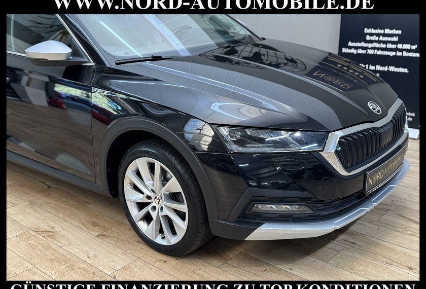 Skoda Octavia Octavia Combi 2.0 TDI DSG 4x4 Scout ACC/Navi/18