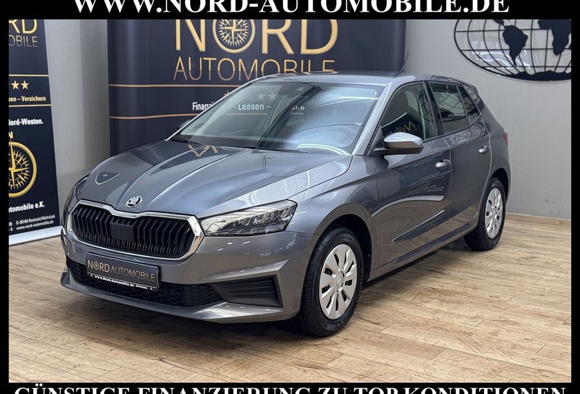 Skoda Fabia Fabia Active 1.0 TSI LED/PDC/Klima/Spurhalte