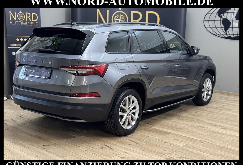 Skoda Kodiaq Kodiaq Ambition 2.0 TDI DSG Leder/AHK/Trittbrett