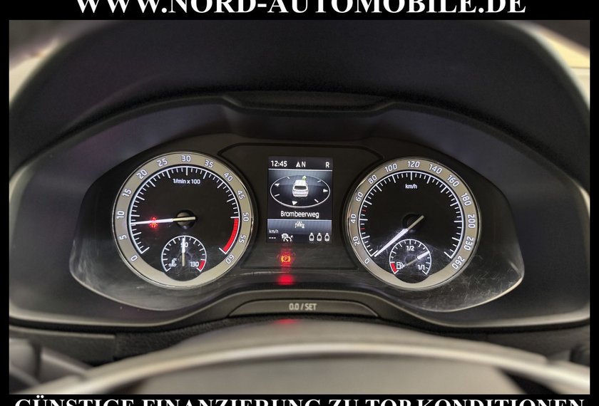 Skoda Karoq Karoq Style 2.0 TDI DSG Kamera/Navi/ACC/18