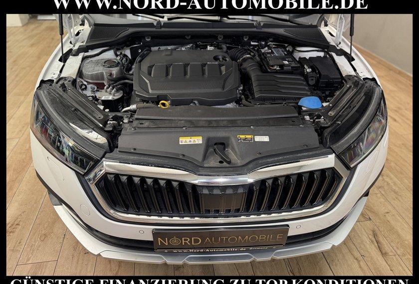 Skoda Octavia Octavia Scout Combi 2.0 TDI DSG AHK/HeadUp/ACC/