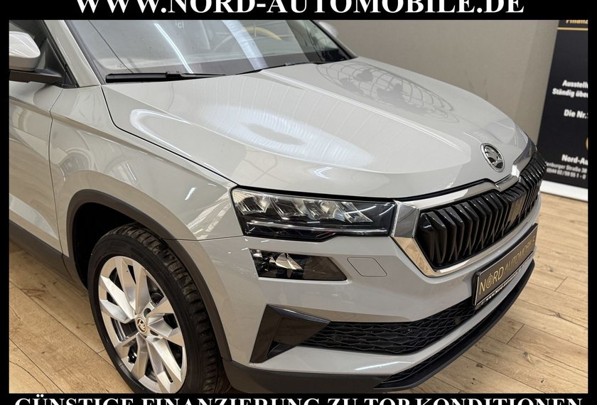 Skoda Karoq Karoq Style 2.0 TDI DSG Virt.Cockpit/AHK/Navi/18