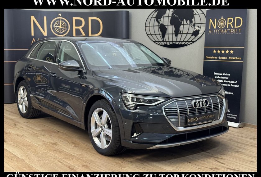 Audi e-tron e-tron 55 QU.Advanced Automatik Kamera/Navi/LED