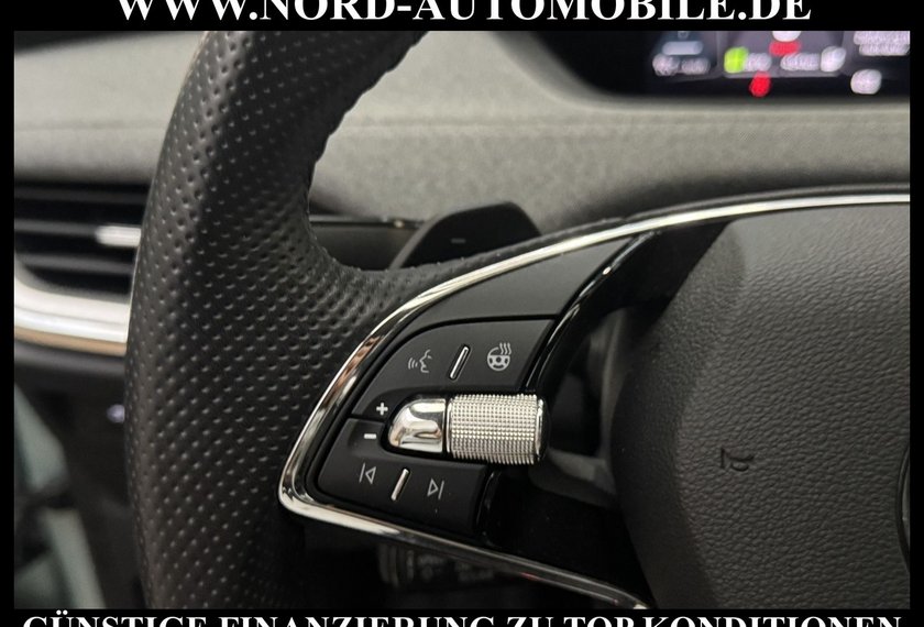 Skoda Enyaq Enyaq iV 80 Loft Wärmepumpe/AHK/Matrix/Kamera