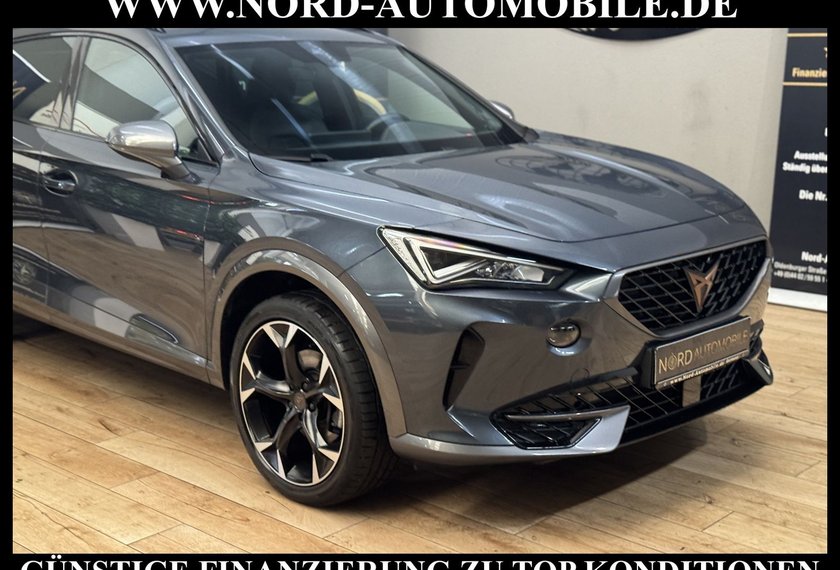Cupra Formentor Formentor 2.0 TDI DSG AHK/Beats/19/StHz/Navi/