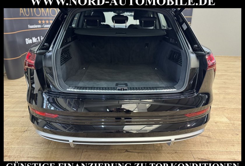 Audi e-tron e-tron 50 QU.S-Line B&amp;O/21/Navi/Teilleder/LED