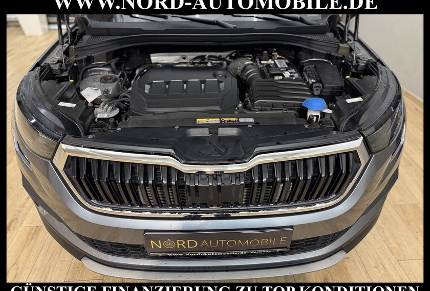 Skoda Kodiaq Kodiaq Ambition 2.0 TDI DSG Leder/AHK/Trittbrett