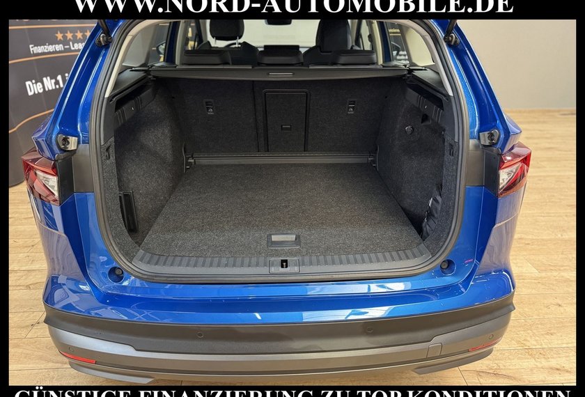 Skoda Enyaq Enyaq iV Automatik Teilleder/Kamera/20