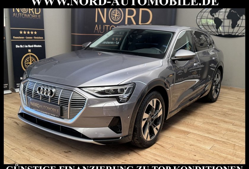 Audi e-tron e-tron 55 QU.Advanced Pano/Kamera/B&amp;O/20/AHK