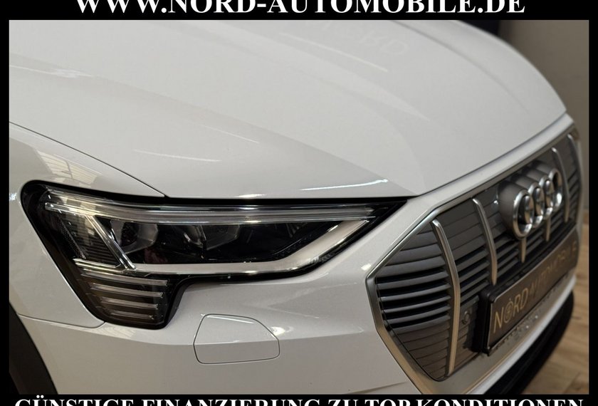 Audi e-tron e-tron 55 QU.Teilleder/Navi/LED/Side&amp;Lane/20