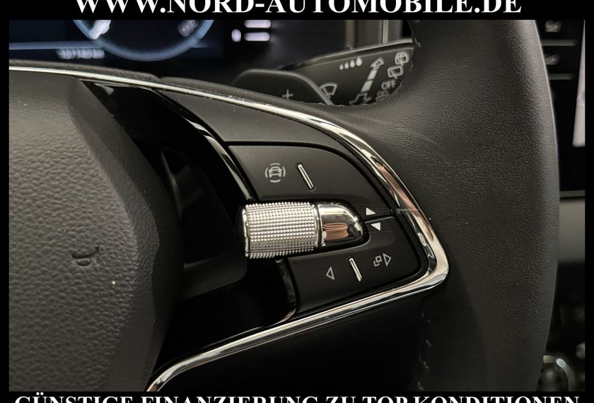 Skoda Karoq Karoq Style 2.0 TDI DSG Virt.Cockpit/Kamera/18