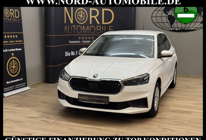 Skoda Fabia Fabia Ambition 1.0 TSI DSG Navi/LED/PDC/