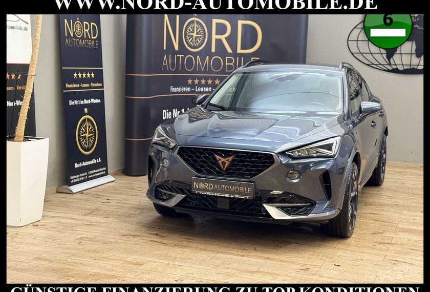 Cupra Formentor Formentor 2.0 TSI DSG Kamera/Beats/19/Navi