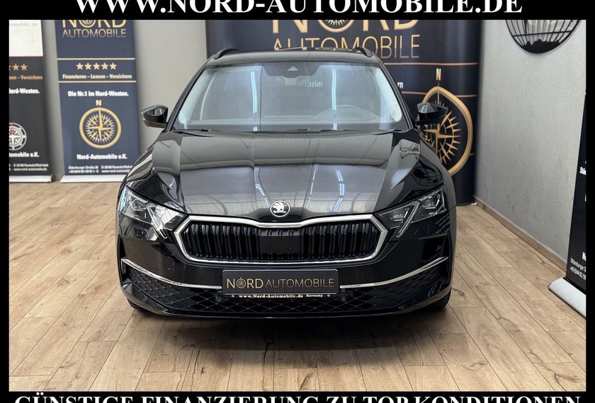 Skoda Octavia Octavia Combi TDI DSG SELECTION LODGE *360*AHK*