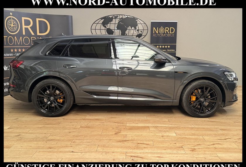 Audi e-tron e-tron 50 QU.S-Line Teilleder/Kamera/Navi/21
