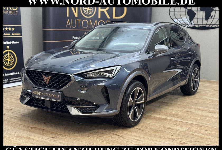 Cupra Formentor Formentor 2.0 TDI DSG AHK/StHZ/Navi/LED/Teillede