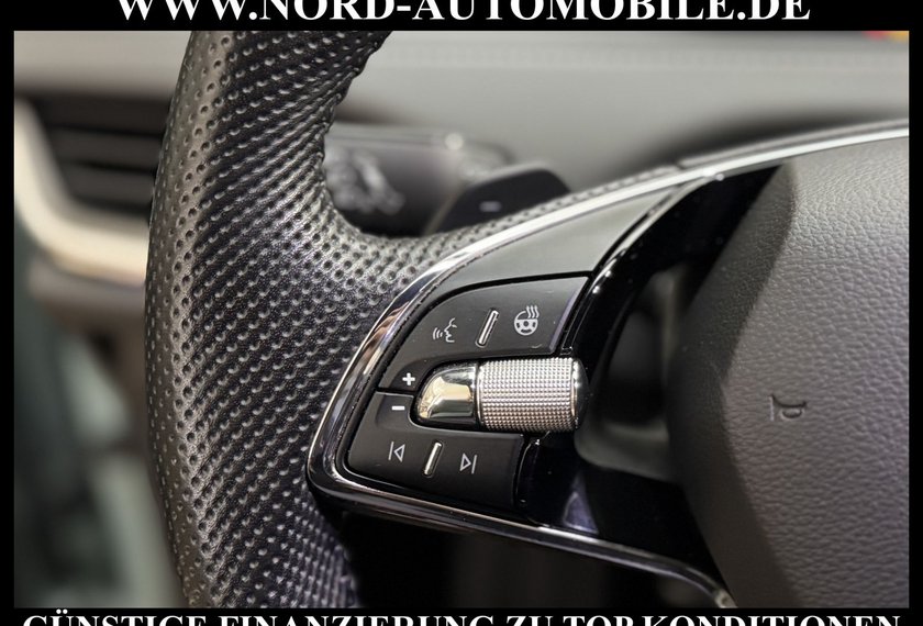 Skoda Enyaq Enyaq iV Sportline AHK/Kamera/20/Matrix/ACC