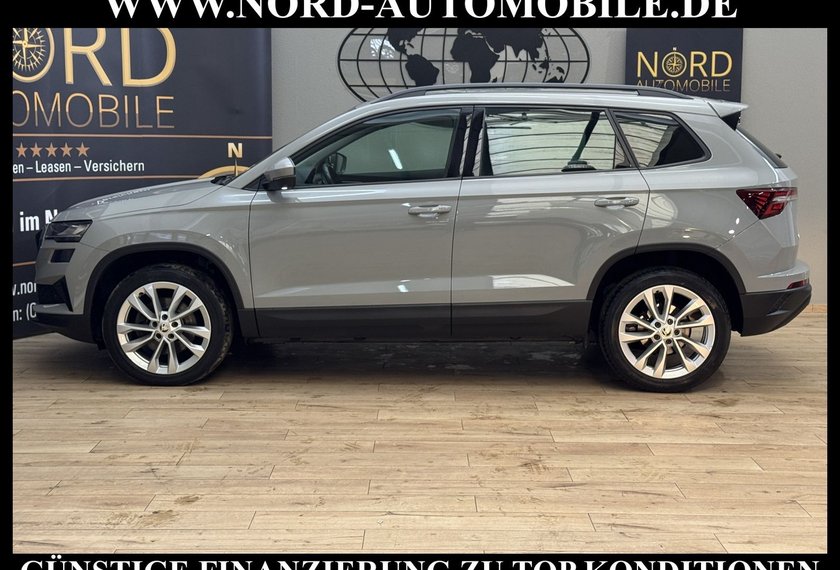 Skoda Karoq Karoq Style 2.0 TDI DSG Virt.Cockpit/AHK/Navi/18