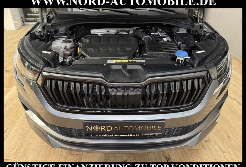 Skoda Kodiaq Kodiaq Sportline 2.0 TSI DSG Standheizung/Virt.C