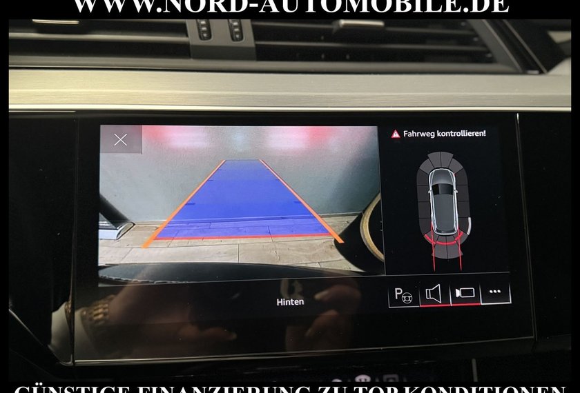 Audi e-tron e-tron 50 QU.S-Line Teilleder/Kamera/Head-Up/20