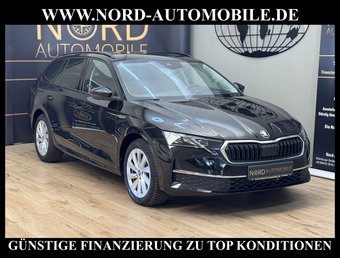 Skoda Octavia Octavia Combi TDI DSG SELECTION LODGE *360*AHK*