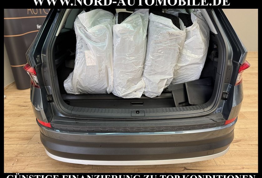 Skoda Kodiaq Kodiaq 2.0 TDI Scout 4x4 DSG StHz/AHK/Kamera/19