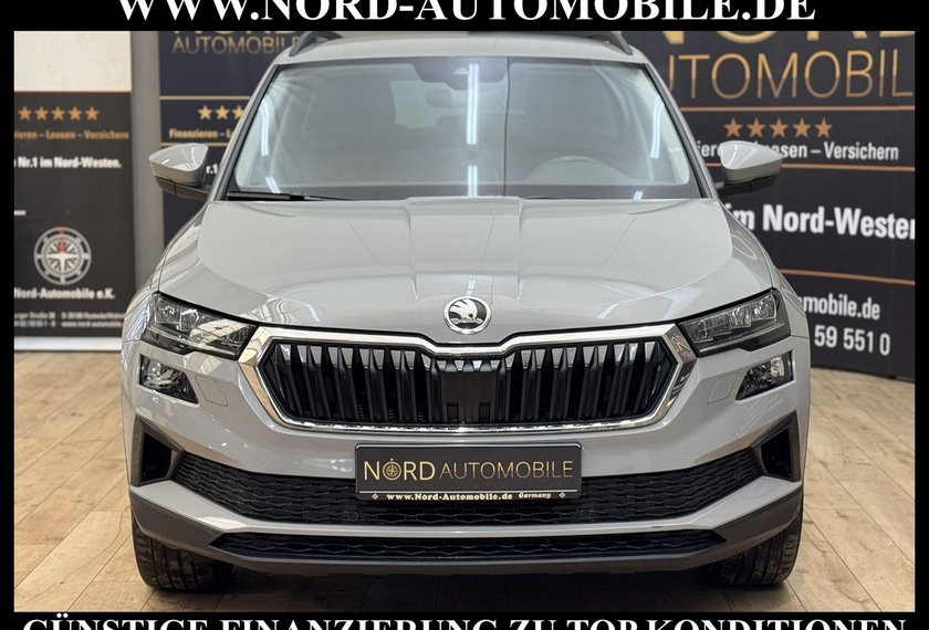 Skoda Karoq Karoq Style 2.0 TDI DSG Virt.Cockpit/AHK/Navi/18