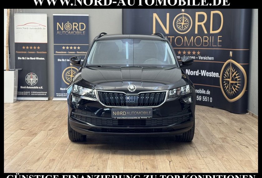Skoda Karoq Karoq Style 2.0 TDI DSG Kamera/Navi/ACC/18