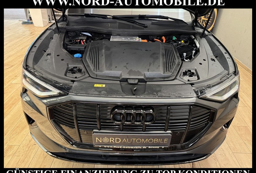 Audi e-tron e-tron 50 QU.S-Line Teilleder/Kamera/Navi/21