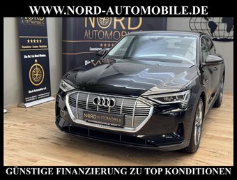 Audi e-tron e-tron QU. 55 Automatik Teilleder/Navi/LED/20