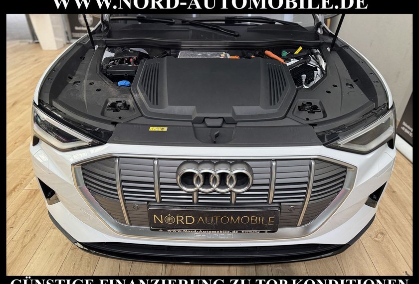Audi e-tron e-tron 55 QU.Teilleder/Navi/LED/Side&amp;Lane/20