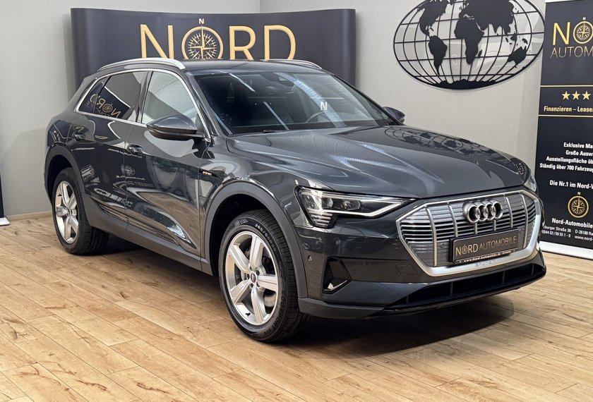 Audi e-tron e-tron 50 QU.Teilleder/Matrix/B&amp;O/ACC/Kamera