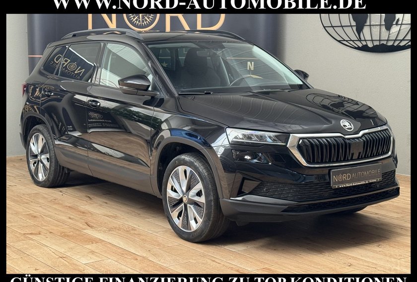 Skoda Karoq Karoq Style 2.0 TDI DSG Virt.Cockpit/Kamera/18