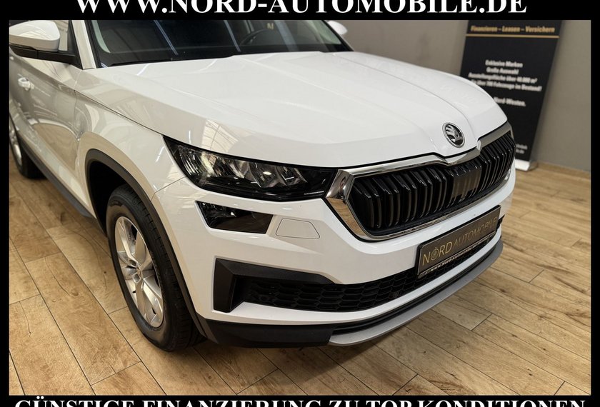 Skoda Kodiaq Kodiaq 2.0 TDI Ambition 4x4 DSG StHz/Pano/LED/