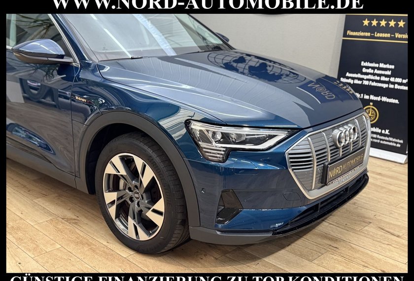 Audi e-tron e-tron qu. Automatik Teilleder/Kamera/20