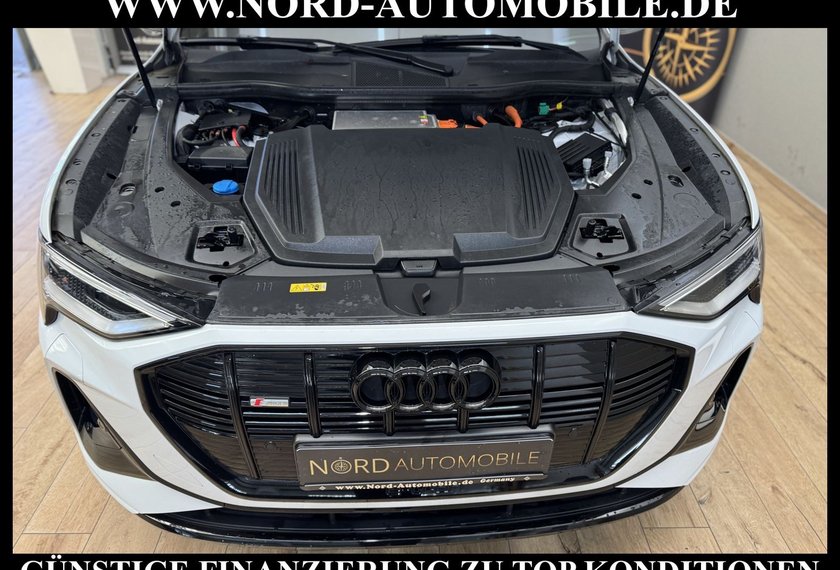 Audi e-tron e-tron 50 QU.S-Line Teilleder/Kamera/LED/Navi/20