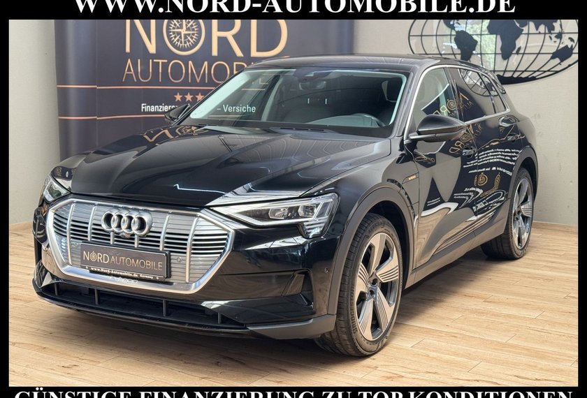 Audi e-tron e-tron 55 QU.Leder/AHK/Side&amp;Lane/LED/21