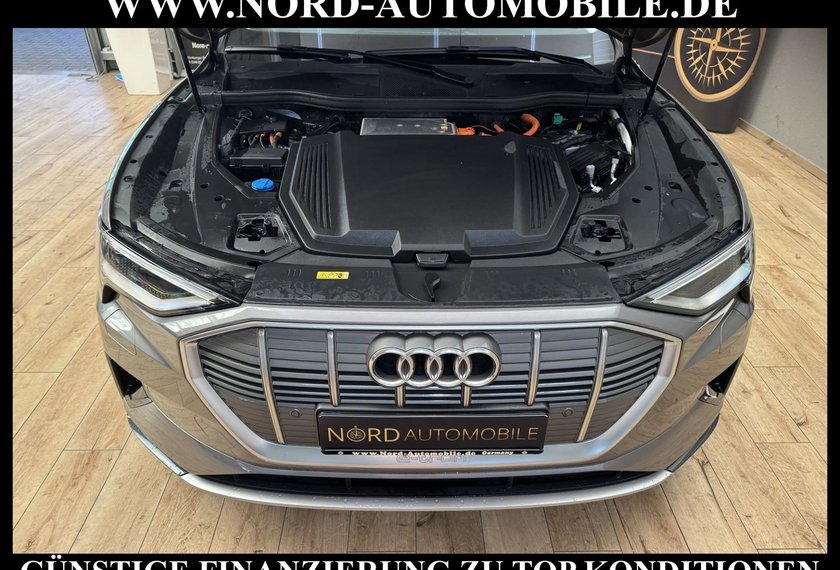 Audi e-tron e-tron 55 QU.Advanced Pano/Kamera/B&amp;O/20/AHK