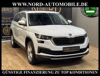 Skoda Kodiaq Kodiaq 2.0 TDI Ambition 4x4 DSG StHz/Pano/LED/