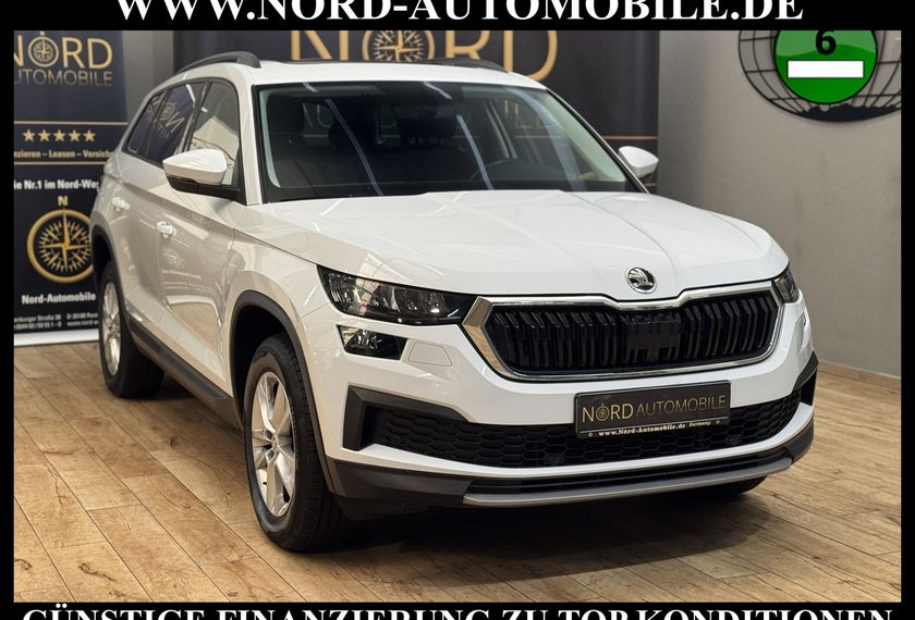 Skoda Kodiaq Kodiaq 2.0 TDI Ambition 4x4 DSG StHz/Pano/LED/